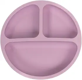 Prato de Silicone com Ventosa para Bebê Antiderrapante Seguro Livre de BPA Introdução Alimentar | Pippo