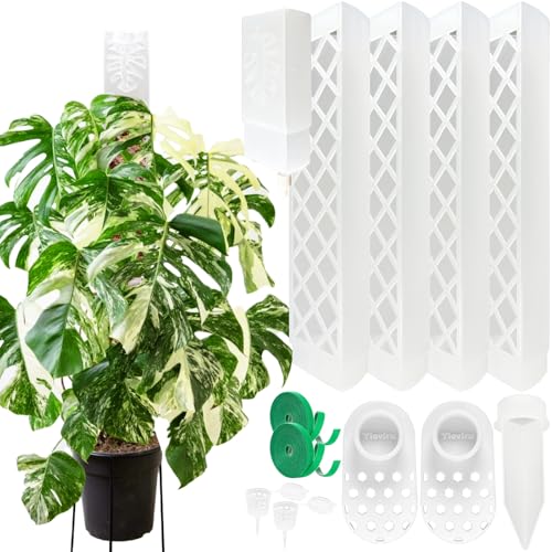 4 Psc 9 Inch D Shaped Moss Pole with Watering Dripper Plastic Moss Poles for Climbing Plants Sturdy Monstera Plant Support Self Watering Moss Pole Kit for Plants Indoor (1Pack 4Pcs-Translucent)