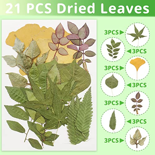 Cinvo 63 Pcs Real Dried Pressed Leaves Natural Assorted Dried Greenery with Tweezer for Resin Candle Jewelry Soap Nail Pendant Phone Case Art Craft DIY Embellishment Decorations(2023 - Image 4