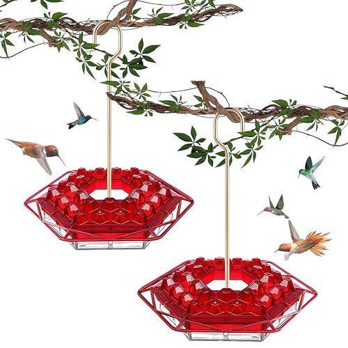 Hummingbird Feeder with Ant-Proof Moat Hummingbird Feeder Easy to Clean and Refill Includes Hanging Hook Features 30 Feeding Ports (Red 2PCS)