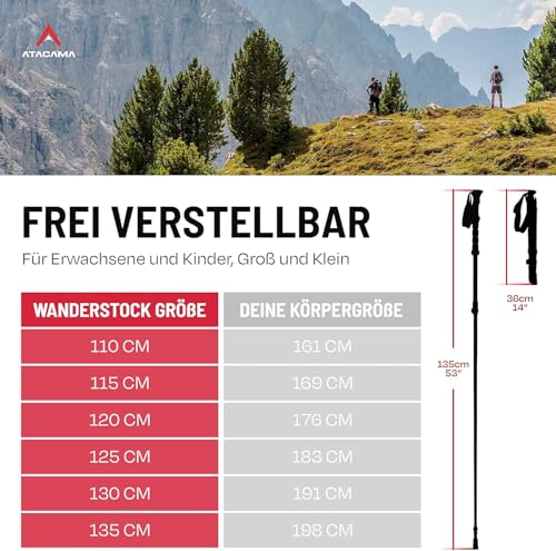 ATACAMA Nordic Walking Stöcke Damen und Herren Wanderstöcke Faltbar aus Carbon und Aluminium - verstellbar Gummipuffer - Trekkingstöcke… – Ansicht 3