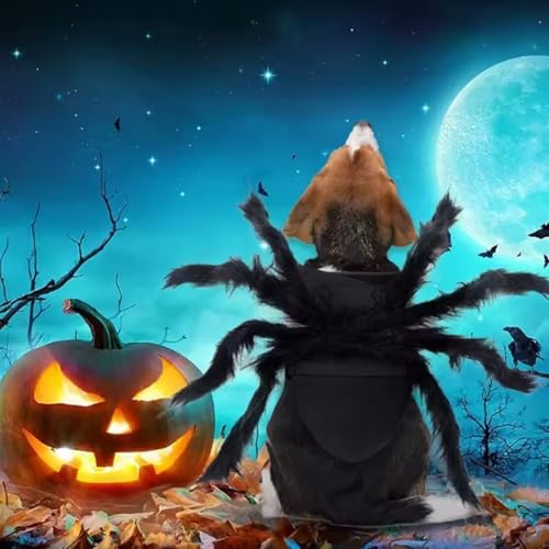 Halloween Spinnenkleidung für Hunde und Katzen Spinnenkostüme Verkleidung Kleidung für Haustiere Halloween Requisiten für Haustiere Party Kleidung Accessoires (XL)