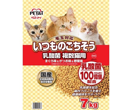 苺猫さま専用 他の方はご購入できません 苺猫さま専用 他の方はご購入できません 苺猫さま専用 他の