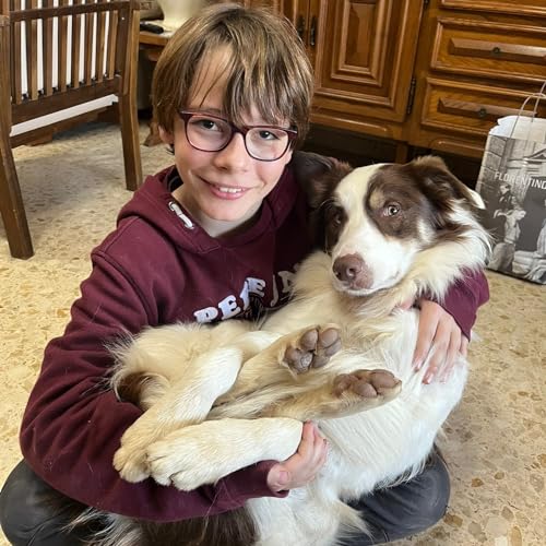 The Fault in Our Stars. Alberto Descalzo