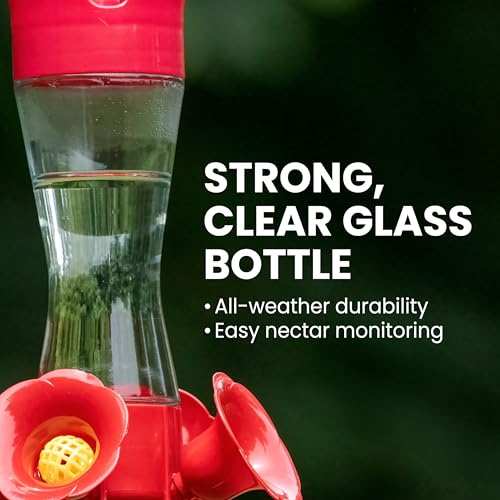 Perky-Pet 203CPBN Outdoor Pinch Waist Glass Garden Décor Hummingbird Feeder image 3