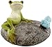 Top Collection Miniatur Feengarten und Terrarium Statue Frosch ruhend auf Stein mit Schmetterling