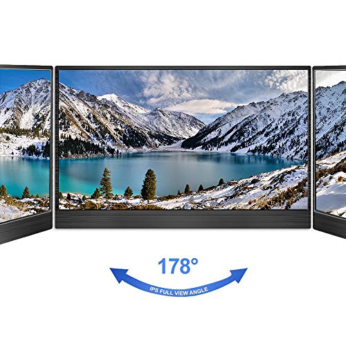 Monitor portatile USB-C da 15,6 pollici HD ultra sottile 1920*1080 IPS Schermo LED tipo C monitor portatile esterno con custodia in pelle per laptop PS3 PS4 MacBook Xbox360 Windows IOS 7 8 10, Kenowa