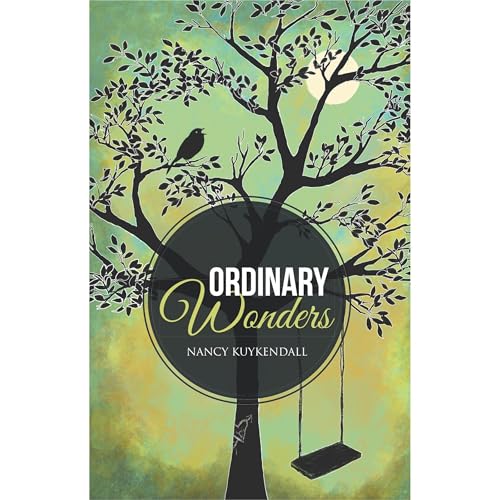 Ordinary Wonders Audiolibro Por Nancy Kuykendall arte de portada