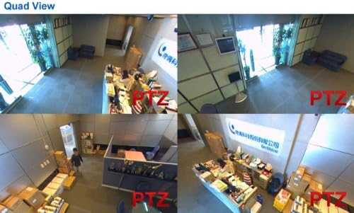 Quad View from Fisheye Camera