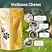 SUNMED Wellness Chew for Dogs with Pumpkin & Hemp Extract – Supports Digestive Health, Wellness & Balance – All-Natural, Safe & Tasty Chews for Dogs – 40ct