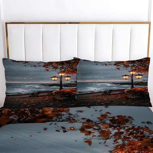 Literie douce en microfibre 220 x 240 avec fermeture éclair et taies 65x65 cm