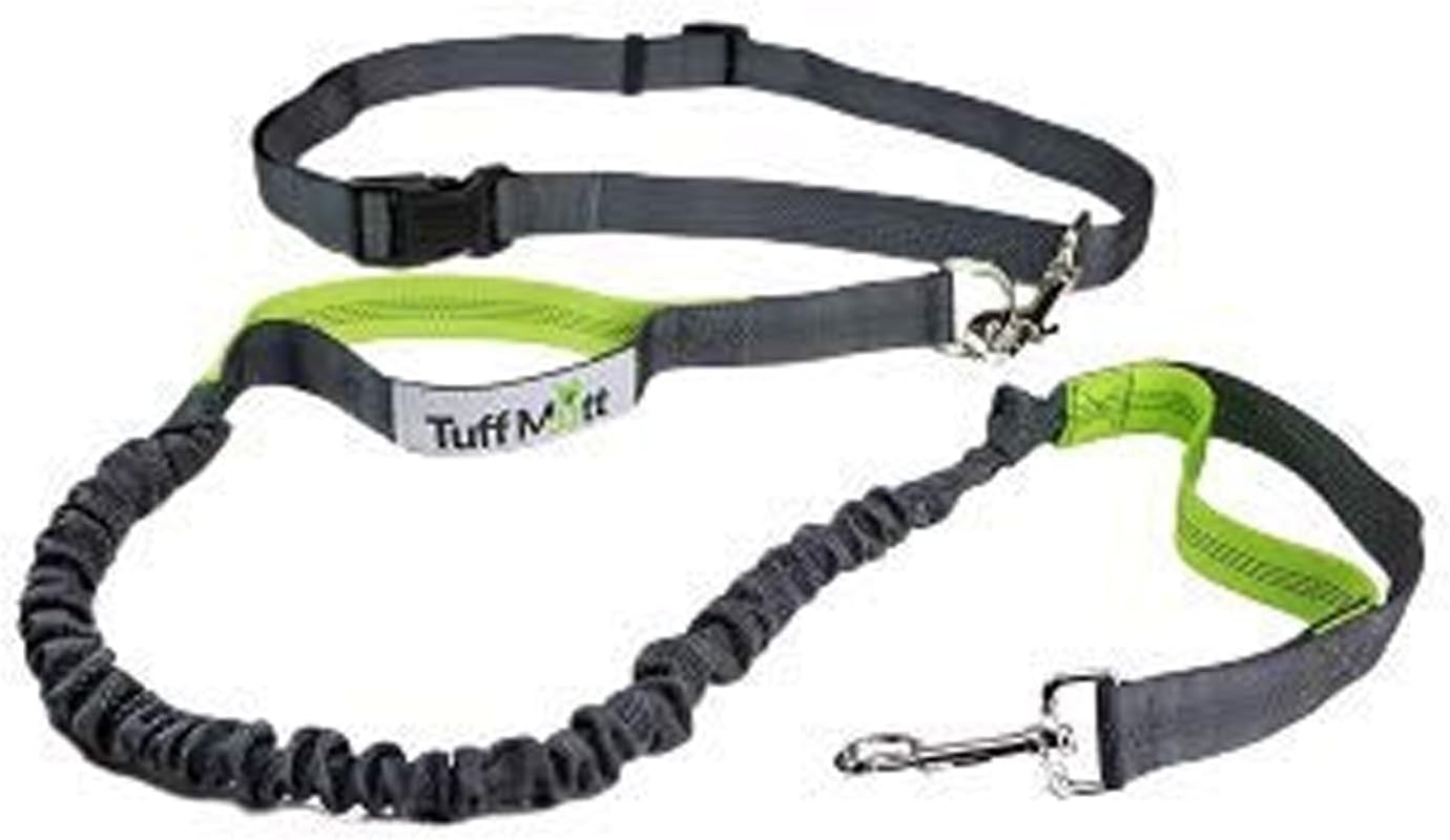Emily Pets Retractable Hands Free Dog Leash with Dual Bungees for Dogs up to 150lbs, Adjustable Waist Belt, Reflective Stitching Leash for Running Walking Hiking Jogging Biking (Green-Gray)