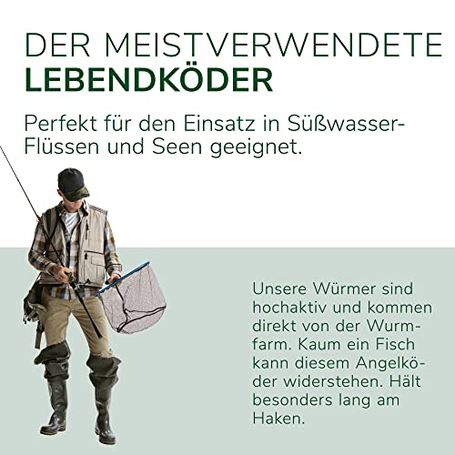 Dendrobena-Würmer von Natursache, 100 lebende Kompostwürmer