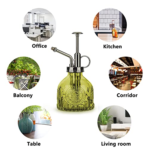KoGiio Spuitfles voor planten, glas, 200 ml, retro reliëf, plantensproeier met pomp, geavanceerde bloemenverstuiver, drukspuit voor balkon, kleine tuinplanten, binnen, huis of kantoor, groen - Afbeelding 4