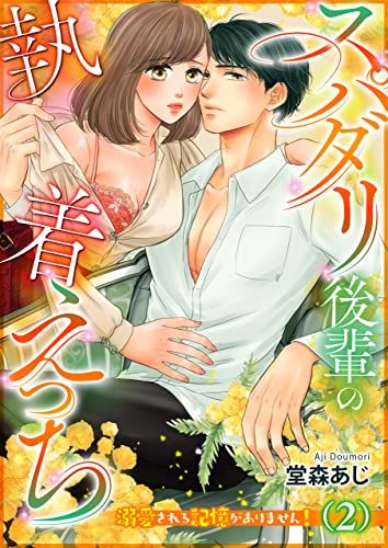 スパダリ後輩の執着えっち~溺愛される記憶がありません!~(2) (TL☆恋乙女ブック)