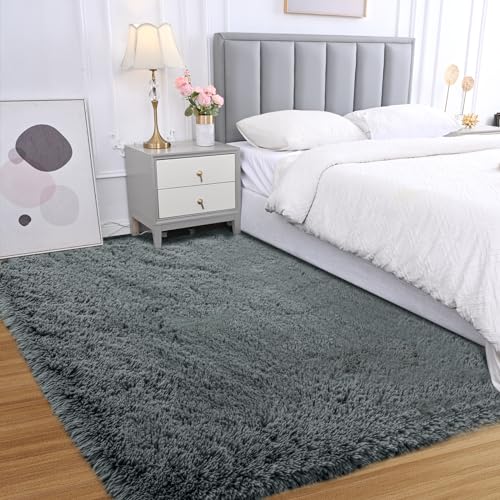 Fluffy Area Rug for Bedroom: Grey Plush Soft Bedside Dorm Area Rug - Small Carpets for Bedroom(Grey, 3x5Feet)