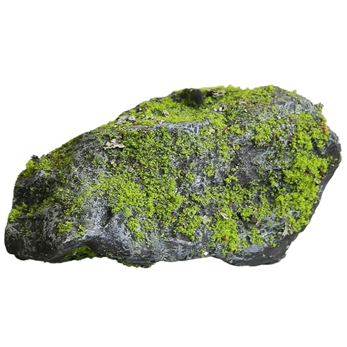 tFCNbN, ̐^AlH, EECeAWp̃KX@ۑf(12.6x7x7in/32x18x18cm)