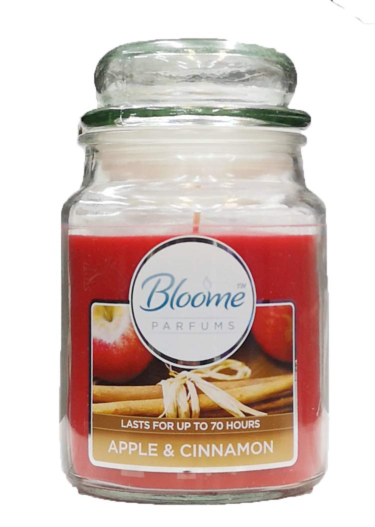 Candle Shop 18Oz Large Scented Candles In Glass Jar Assorted Fragrance For Home (Apple & Cinnamon)