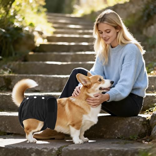 Image of Washable Reusable Female Dog Diapers(5 Pack) Small Medium Large Doggie Puppy & Doggy Dog Diaper, Period Panties in Heat Small Black