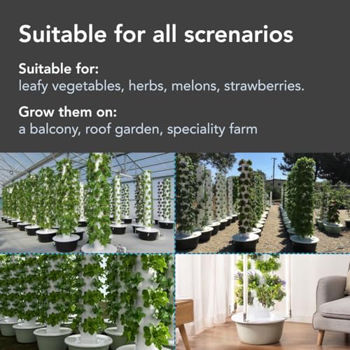 Self Watering Seed Kit - Etsy