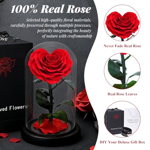 Rosa roja preservada en forma de corazón con cúpula de cristal miniatura 2