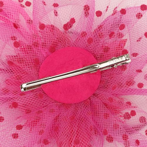 Image of DRESHOW Fascinators Hat Feather Headband Women's Fascinators Tea Party Headwear with Clip Flower Head Band for Girls & Women