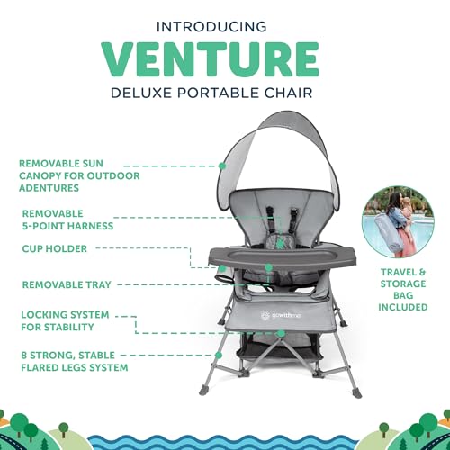 Image of Baby Delight Go with Me Venture Portable Chair | Indoor and Outdoor | Sun Canopy | 3 Child Growth Stages | Elephant Grey