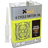 AZ (エーゼット) CEB-003 4輪用 エンジンオイル 4L 5W-40 SP/CF CIRCUIT 100%化学合成油 VHVI 自動車用 EG524