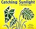 Catching Sunlight: A Book About Leaves (Growing Things)