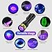 DARKDAWN UV Flashlight 395nm Black Light Mini USB Rechargeable Ultraviolet LED Blacklight Woods Lamp Powerful Portable Detector for Pet Urine Stains, Blood Tracking Flashlight, Resin Curing