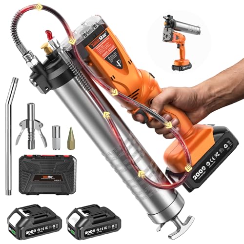 2-in-1 Electric Grease Gun with Batteries and Accessories