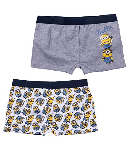Minion - Boxer - Ragazzo