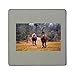 PickYourImage Imán Cuadrado para Nevera de Caballos, Naturaleza, Animales, Caballos y Animales