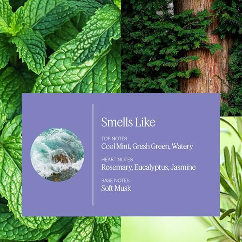 Aera Spa La La Home Fragrance Scent Refill - Notes of Peppermint and Rosemary - Works with The Aera Diffuser - Image 3