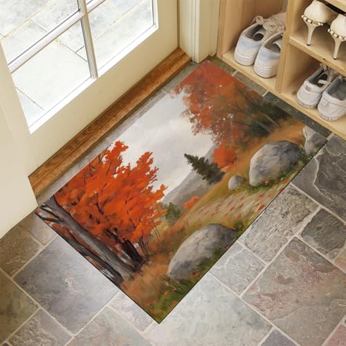 Paillasson attrape poussière 60x90 tapis d'entrée lavable pour chien - 3