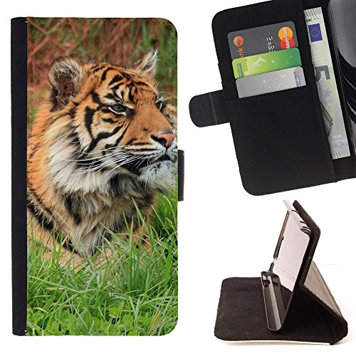 BOOK CASE - FOR Apple iPod Touch 6 6th Generation