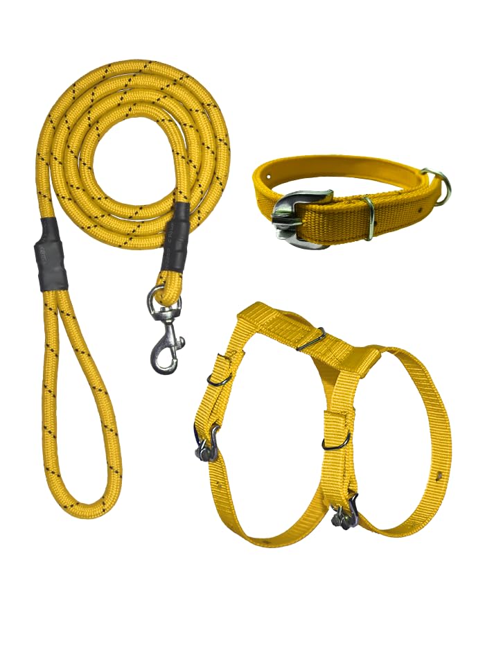 Nylon Dog Rope with Standard Body Belt and Standard Collar (Yellow)-picture-19