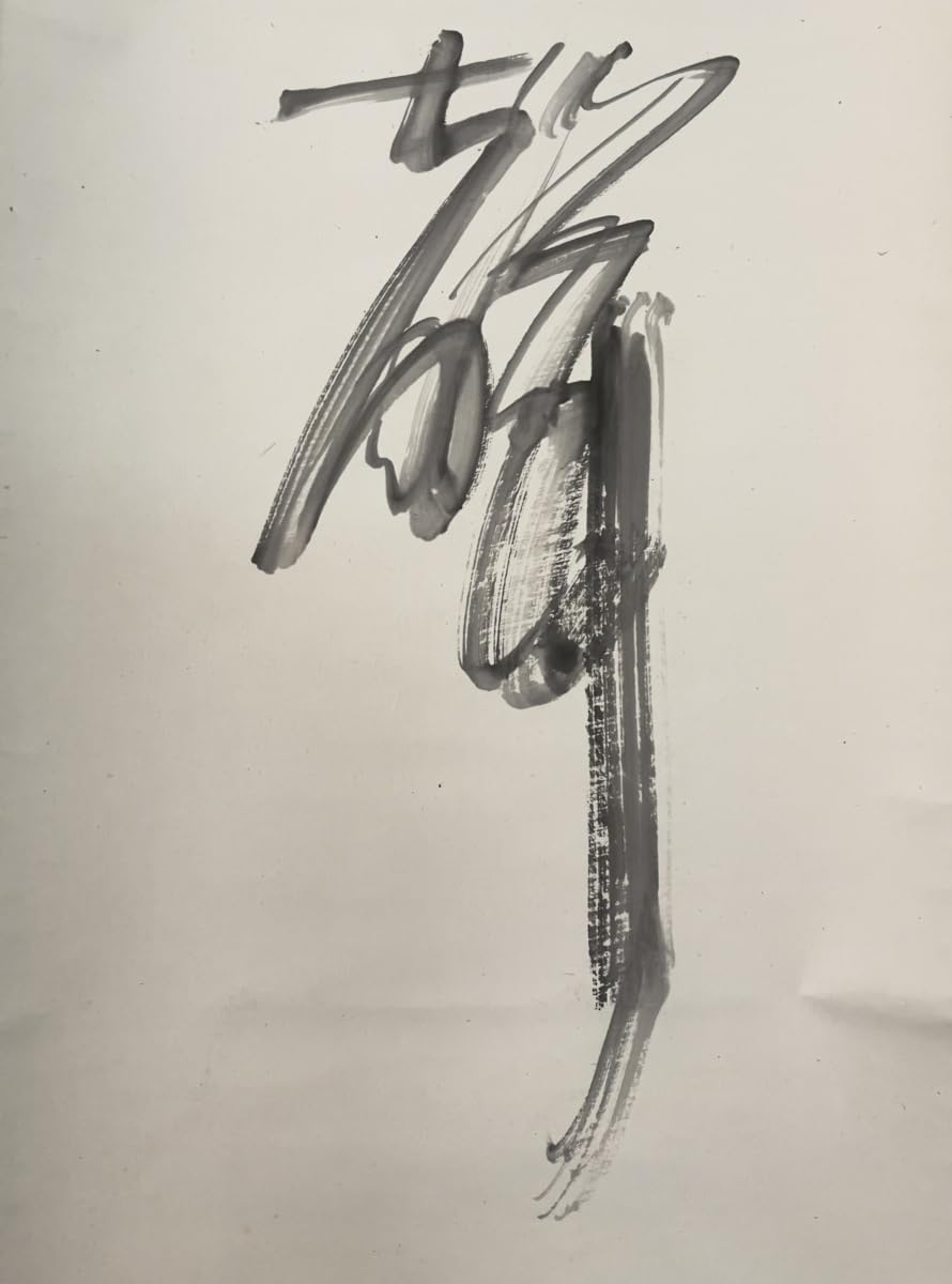 Amazon.co.jp: 模写吉7057 山本南陽 書閑坐聴松風 共箱 石田泉城