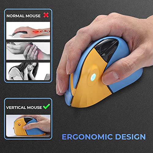 Dareu Vertical Wireless Ergonomic 89G Lightweight Optical Mouse, 2.4G Rgb Mouse Reduce Wrist/Hand Strain, 800/1200/1600 Dpi, 6 Buttons For Laptop, Desktop, Pc, Mac (Blue&Yellow) #TOP1