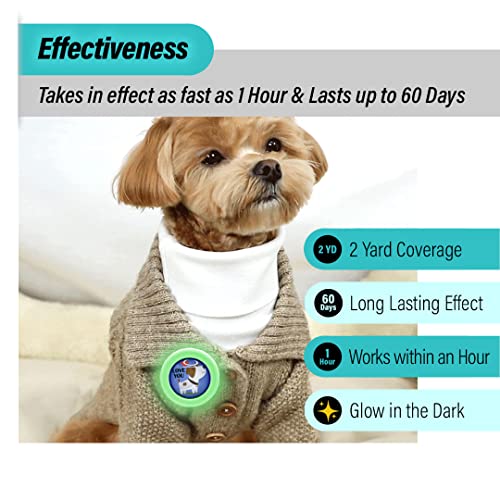 Image of KN FLAX Aegis Calming Clip for Dogs (Glow-in-The-Dark), Anxiety Relief Pheromone Diffuser [Made in Korea], Lasts 60 Days, Reducing Stress During Loud Noise and Separation for All Sized Dog (with U)