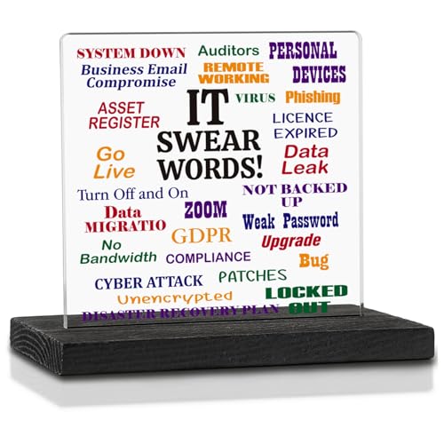 Funny Office Gifts for Information Technology Staff, Personalised IT Gifts, Swear Words Work Office Gifts for IT Coworker Womens Computing Gifts, Funny Humor Signs Desk Decoration VAK349