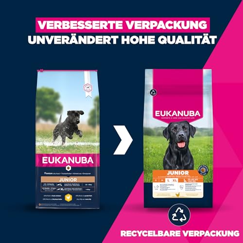 Eukanuba Hundefutter mit frischem Huhn für große Rassen, Premium Trockenfutter für Junior Hunde, 15 kg