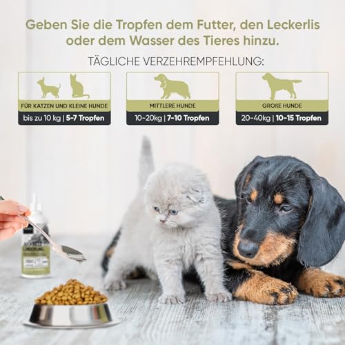 Juckreiz Linderung Tropfen - 250ml für Hunde und Katzen - Gräser-, Pollen- & Nahrungsmittelallergien - Mit Gingko, Brennnessel, Heidelbeeren & Huang Qin - Für alle Altersgruppen - animigo