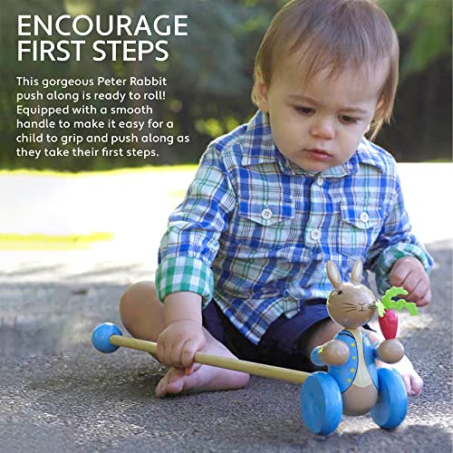 Image of Orange Tree Toys Peter Rabbit Push Along