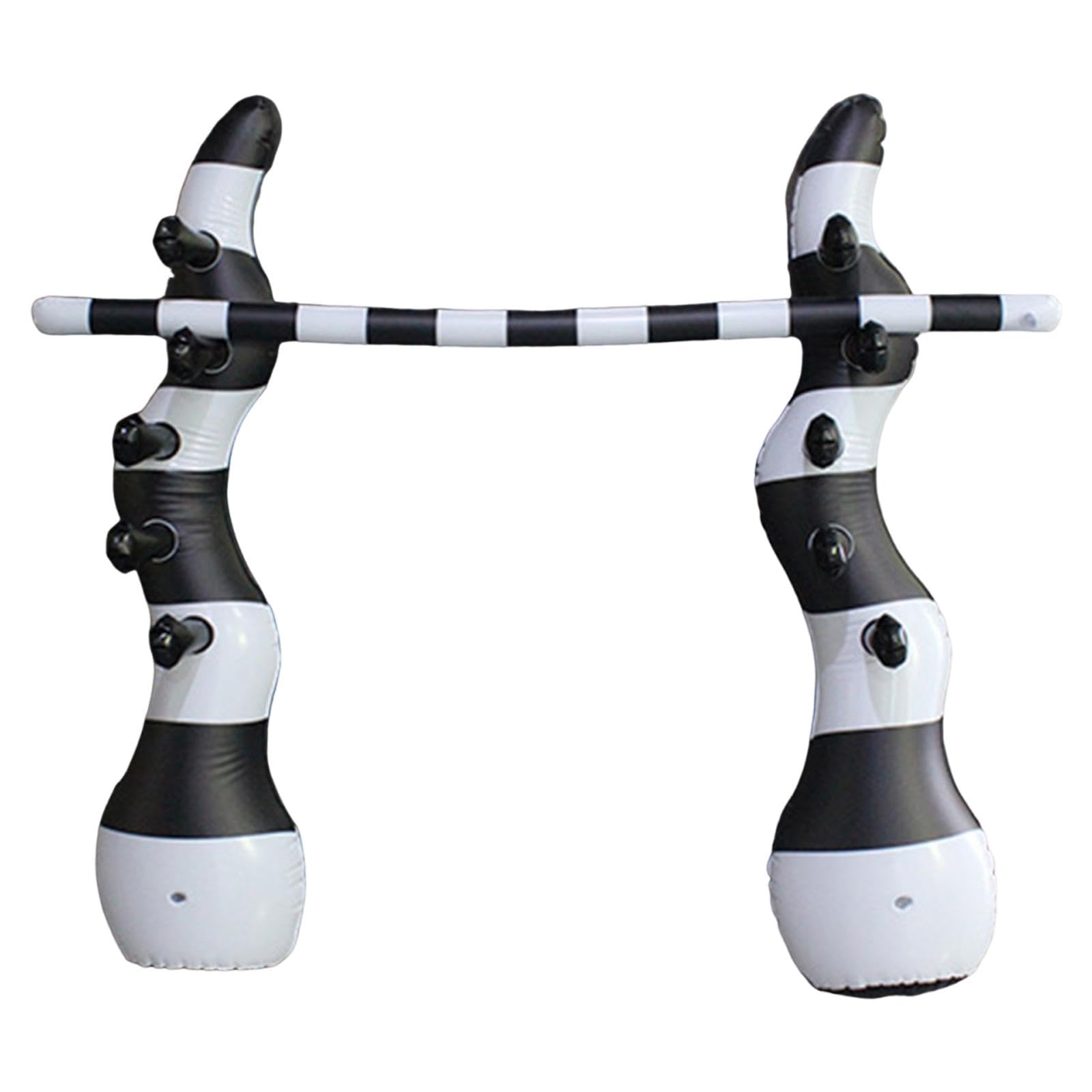 Jeu de Gonflable, Jeu de Plage Original et Réglable en Hauteur pour Anniversaire Ou Fête d'anniversaire.