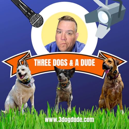 3 Dogs & A Dude Podcast Por Ace arte de portada