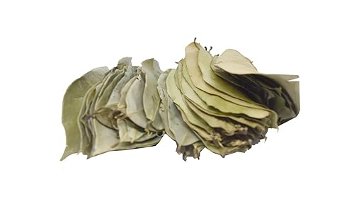 Miniatura 2 de Lakpura Hojas secas de guanábana silvestre (Guanabana, Graviola, Guyabano) (7.05 oz)