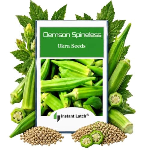 100 Clemson Spineless Okra Seeds for Planting Non GMO Heirloom Seeds Fresh Garden Seed
