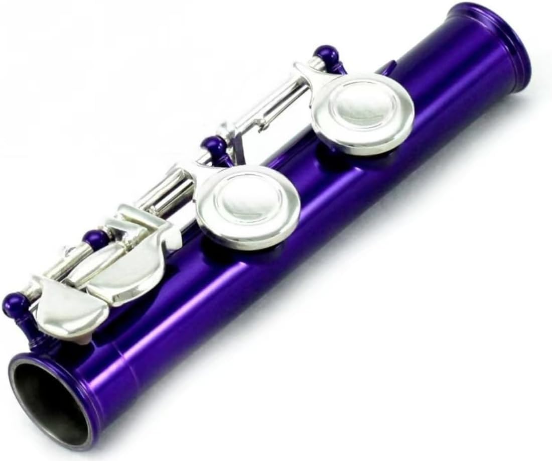 Sky Purple Lacquer Gold Keys Open Hole C Flute with 1 Year Manufacturer Warranty, with Lightweight Case, Cleaning Rod, Cloth, Joint Grease and Screw Driver