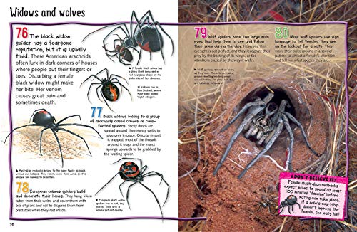 100 Facts - Spiders: Projects, Quizzes, Fun Facts, Cartoons - Image 4